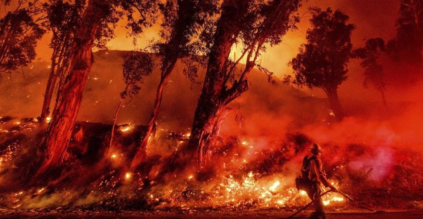 Австралия за месяц: лесные пожары, проливные дожди, песчаные бури, огромный град и ядовитые пауки