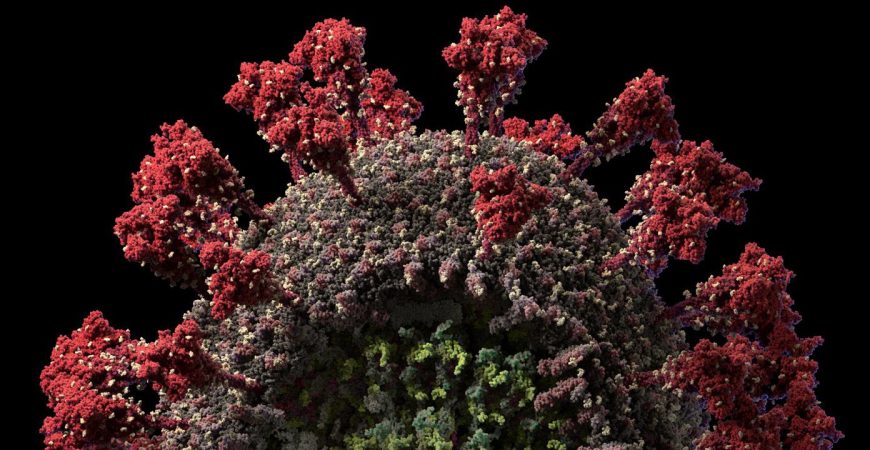 Visual Science создала детальную 3D-модель коронавируса