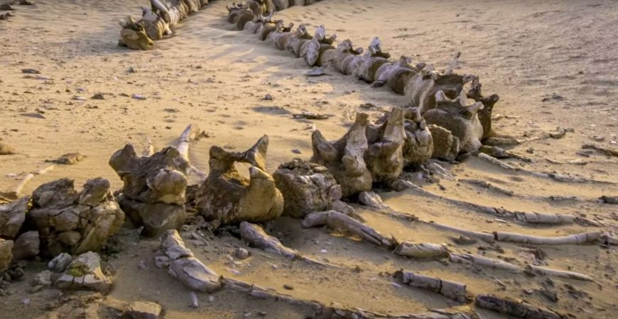 Ученые показали, что скрывается под песками Сахары